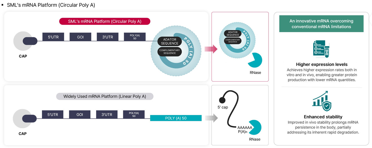 mRNA 플랫폼 기술